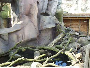 Klonczinski Bauunternehmen: Felsgestaltung Zoo am Meer Klonczinski: Felsgestaltung Zoo am Meer