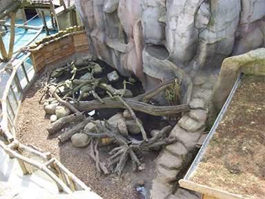 Klonczinski Bauunternehmen: Felsgestaltung Zoo am Meer Klonczinski: Felsgestaltung Zoo am Meer