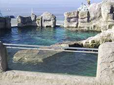 Klonczinski Bauunternehmen: Felsgestaltung Zoo am Meer Klonczinski: Felsgestaltung Zoo am Meer